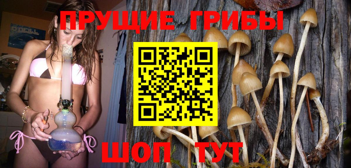 Псилоцибиновые грибы мухоморы  Вход с VPN  Североморск 